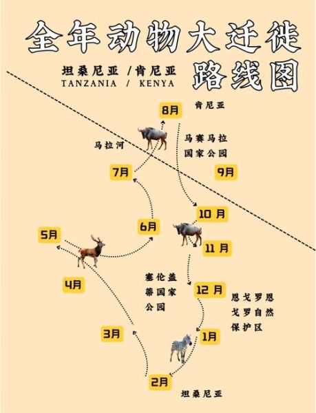青藏高原特有动物有哪些_藏羚羊迁徙路线