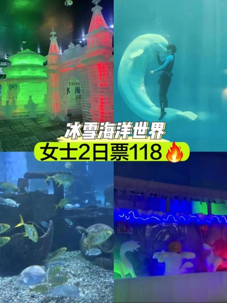 芜湖海洋馆冰雪王国门票价格_游玩攻略
