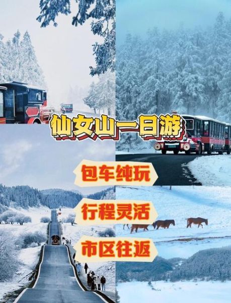 仙女山冰雪世界门票价格_仙女山冰雪世界怎么去