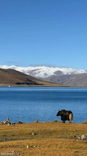 大狗高原怎么去_大狗高原最佳旅游时间