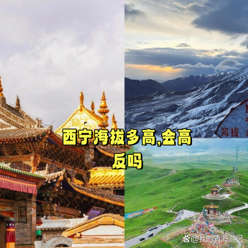 青海西宁会高原反应吗_西宁海拔多少米