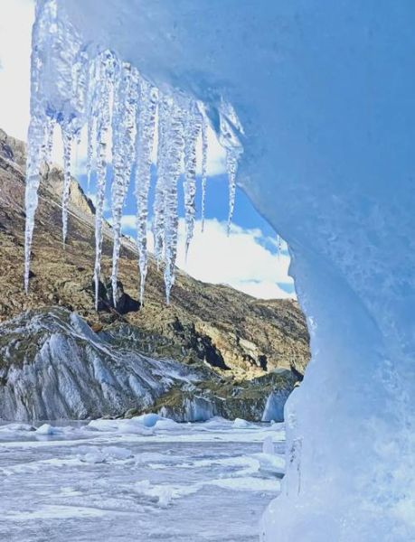 西藏冰雪花什么时候开_西藏冰雪花最佳观赏地点