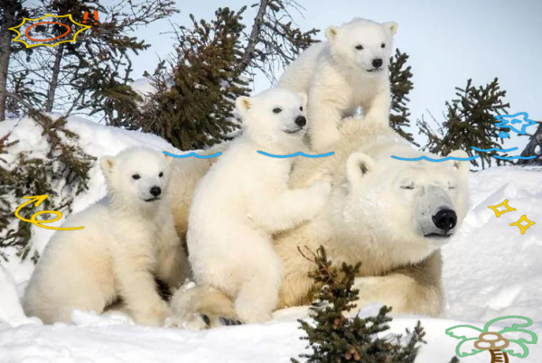 熊冰雪是谁_熊冰雪作品有哪些