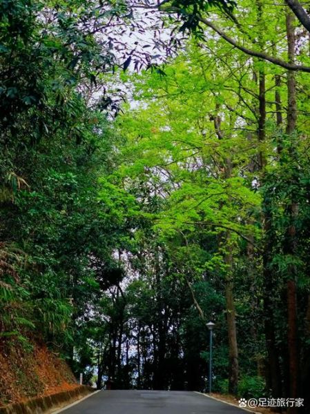 梧州户外徒步路线推荐_梧州露营哪里好