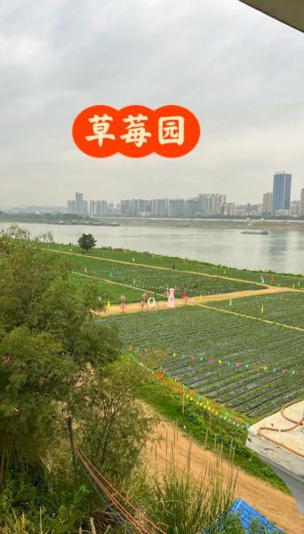 梧州户外徒步路线推荐_梧州露营哪里好