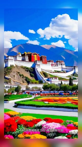 三月高原穿什么_高原三月天气如何