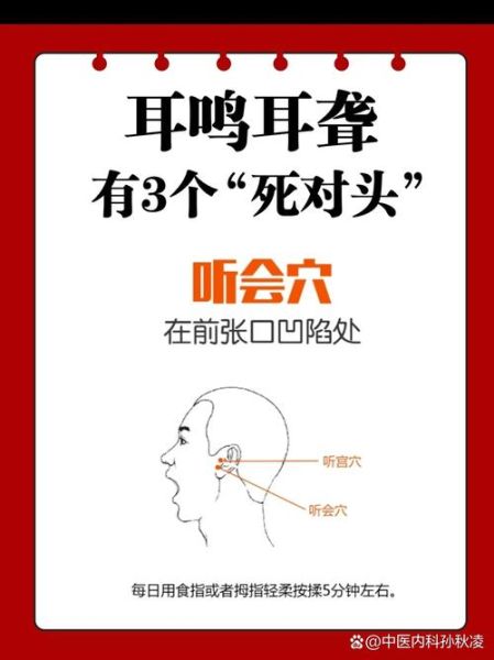 高原反应耳鸣怎么办_高原耳鸣多久能恢复