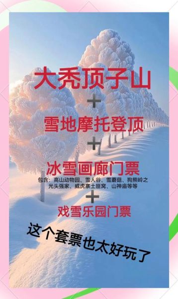 张北草原冰雪节门票价格_有什么好玩的