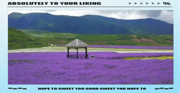 浪漫高原在哪里_浪漫高原最佳旅游时间