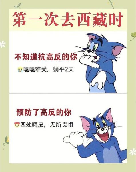 大草原有高原反应吗_如何预防