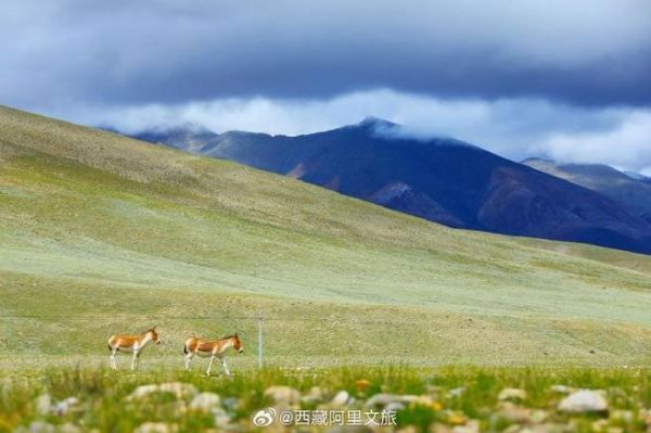 精灵高原10月7日天气怎么样_精灵高原10月7日穿什么衣服