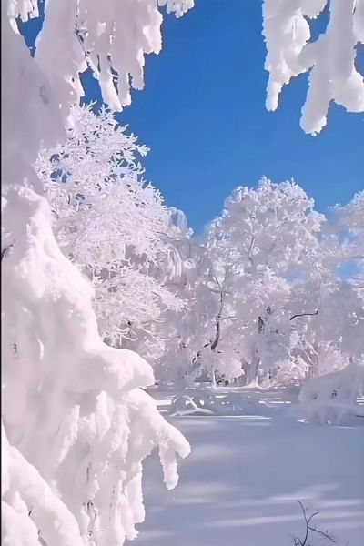 冰雪婆娑是什么_冰雪婆娑在哪里看