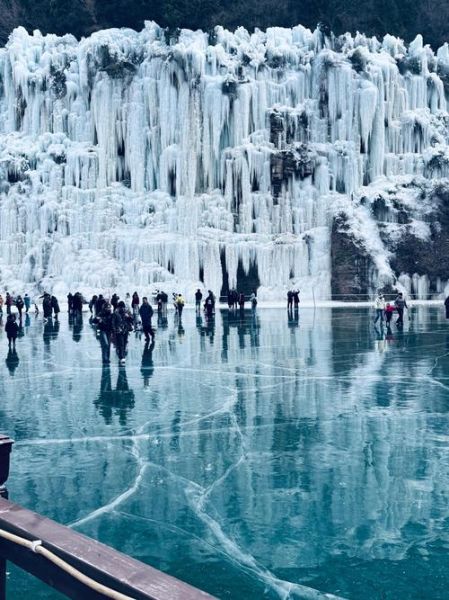 冰雪婆娑是什么_冰雪婆娑在哪里看
