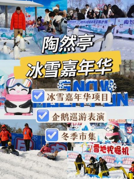 株洲冰雪公园门票价格_开放时间