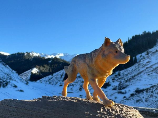 西双版纳野狼户外怎么样_野狼户外靠谱吗