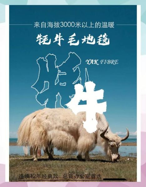 高原物种有哪些_高原物种如何适应极端环境