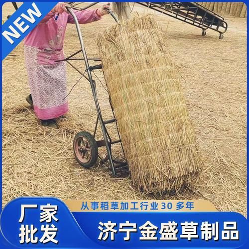 高原草垫怎么选_高原草垫多少钱