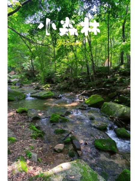 吉林市户外徒步去哪好_吉林市户外露营最佳地点