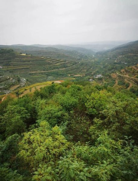 高原上的绿色_如何保持生态平衡