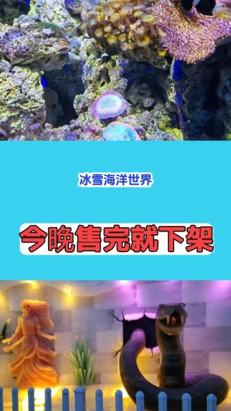 海冰雪是什么_海冰雪旅游攻略