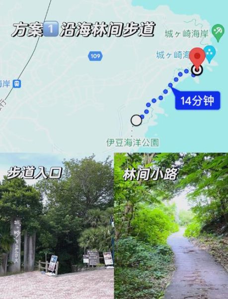 伊豆高原怎么去城崎海岸_城崎海岸值得去吗