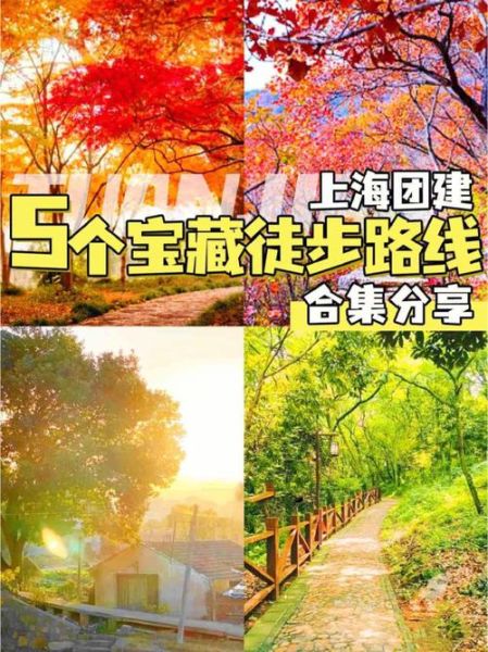 上海户外徒步路线推荐_上海周末去哪玩户外