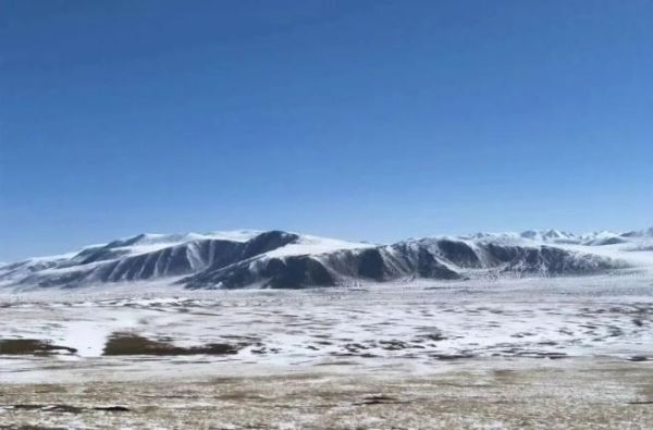 高原博雅是什么_高原博雅怎么样