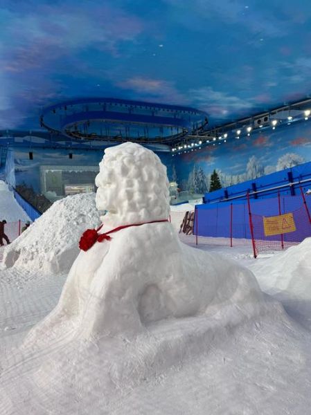 武汉国际冰雪节门票价格_武汉国际冰雪节值得去吗