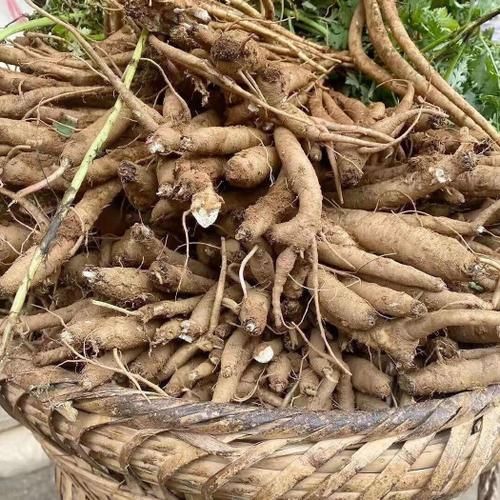 高原丹是什么_高原丹功效与作用