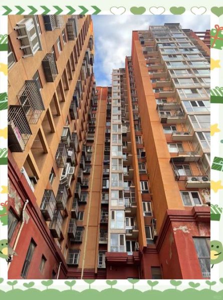 北京弘善家园房价走势_弘善家园学区怎么样