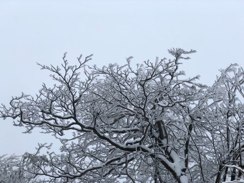 狼牙户外军品店怎么样_狼牙户外军品店正品吗