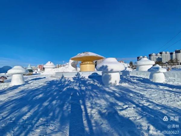 海拉尔冰雪乐园怎么样_值得去吗