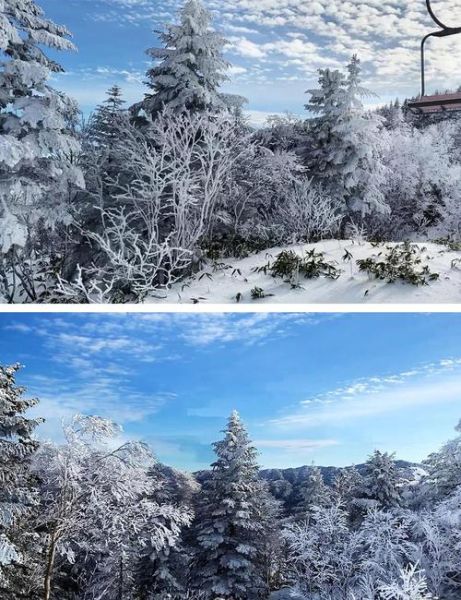 志贺高原滑雪场怎么去_志贺高原滑雪费用多少钱