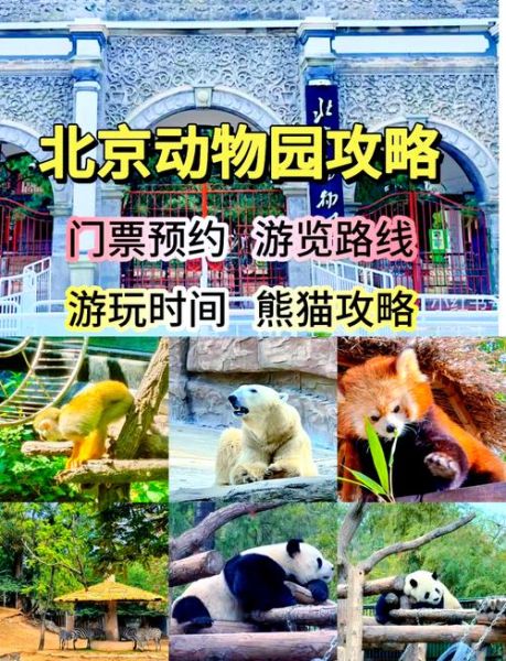 北京动物园好玩吗_值得去吗