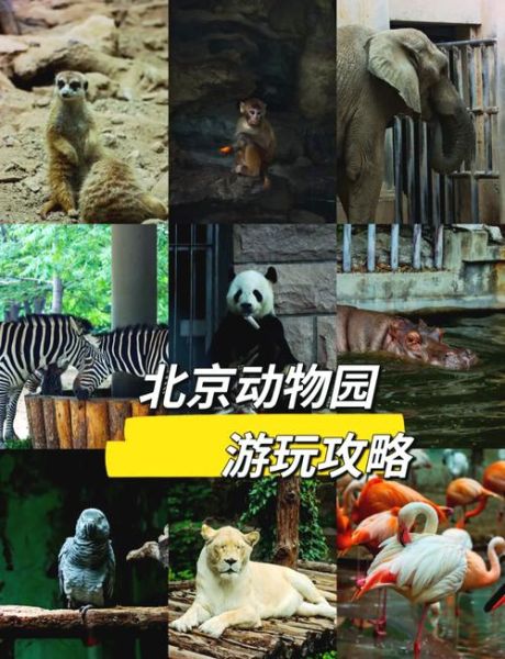 北京动物园好玩吗_值得去吗