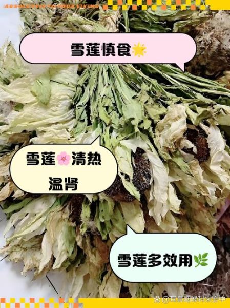 冰雪莲的功效与作用_冰雪莲怎么吃效果最好