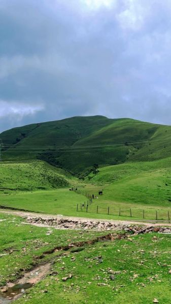 云南高原牧场在哪里_最佳旅游季节