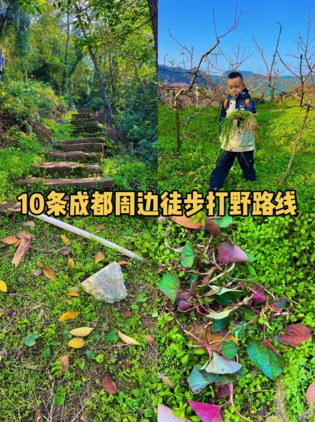 四川户外论坛_新手徒步路线推荐