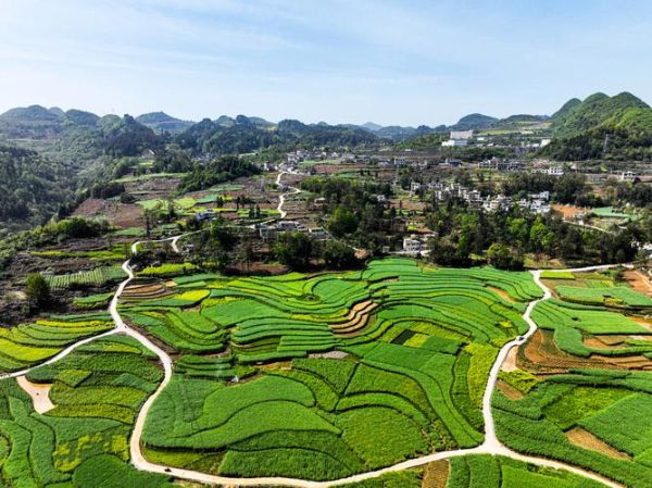 云贵高原坝子有哪些_坝子为何适合居住