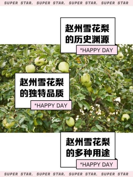 梨园冰雪门票价格_梨园冰雪开放时间