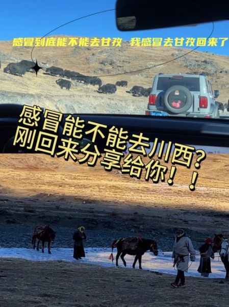 感冒了去高原危险吗_高原感冒怎么办