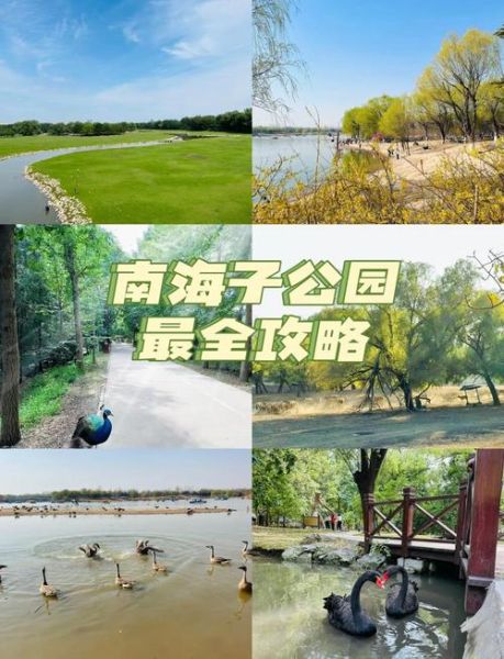 北京南海子公园门票多少钱_南海子公园开放时间