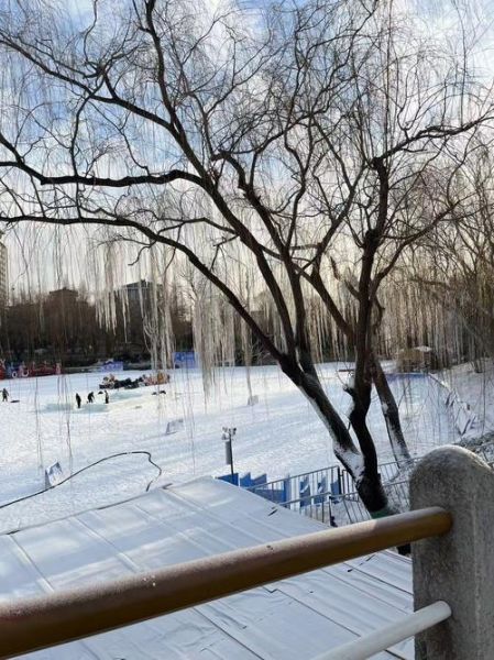玉渊潭冰雪节门票价格_玉渊潭冰雪节开放时间