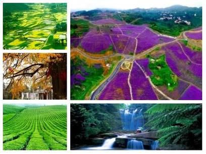 云贵高原气候特点_云贵高原适合种什么