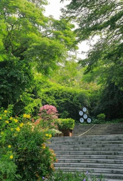 宝安户外徒步路线_宝安露营地点推荐