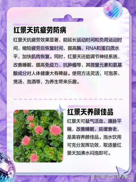 高原反应吃什么红景天_高原红景天怎么吃