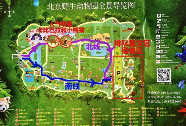 北京动物园门票价格_北京动物园游玩路线