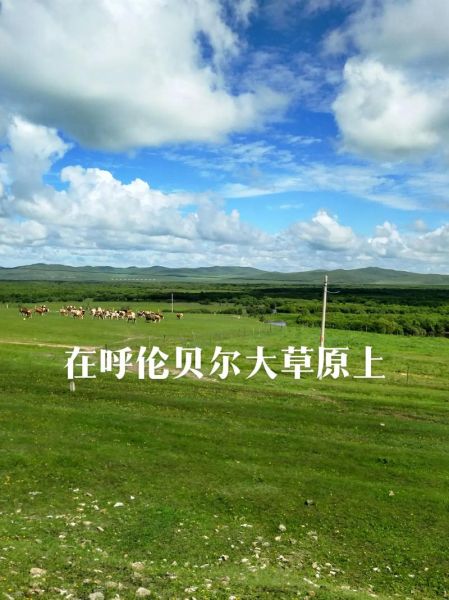 呼和浩特属于高原吗_海拔多少米