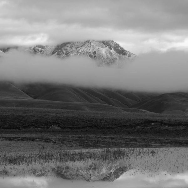 高原的灵魂_是什么