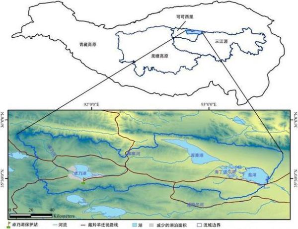 青藏高原野生动物通道有哪些_如何保护迁徙路线